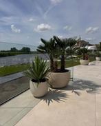Luca lifestyle trendy bloembakken / plantenbakken te koop!, Tuin, Kunststof, 100 cm of meer, Rond