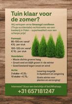 Smaragd coniferen 80–100 cm direct uit kwekerij – vanaf €8!, Ophalen of Verzenden