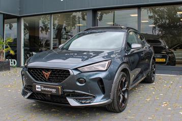 Cupra FORMENTOR 2.0 TSI 4DRIVE PANO BEATS LED NAVI CAMERA beschikbaar voor biedingen