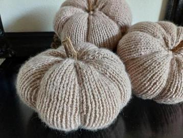 NIEUW! Pompoenen  beschikbaar voor biedingen