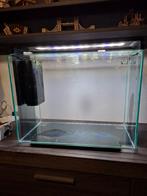 Aquarium met toebehoren, Dieren en Toebehoren, Ophalen, Zo goed als nieuw, Leeg aquarium