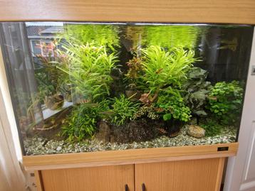 Compleet juwel aquarium 100 cm beschikbaar voor biedingen