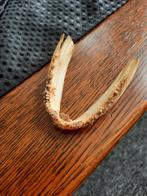 Kaak, Verzamelen, Ophalen of Verzenden, Zo goed als nieuw, Beeldje of Figuurtje