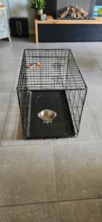Te koop, Dieren en Toebehoren, Ophalen