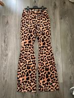 CARS JEANS flared pants Arianda nieuw mt 176, Broek, Meisje, Nieuw, Ophalen of Verzenden