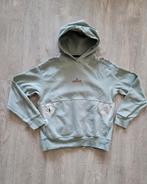 Zara kids mooie hoody maat 140, Jongen of Meisje, Trui of Vest, Ophalen of Verzenden, Zo goed als nieuw