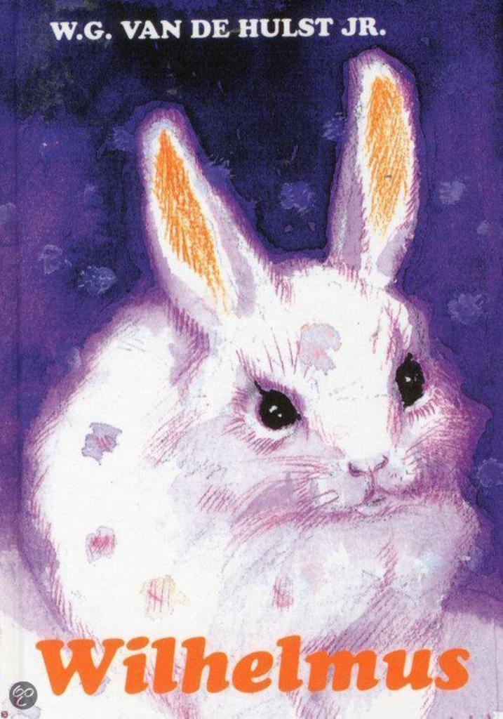 Wilhelmus  W.G. van de Hulst jr  9789033110146 , Boeken, Kinderboeken | Jeugd | 10 tot 12 jaar, Zo goed als nieuw, Ophalen of Verzenden