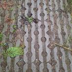 Gratis Ophalen 100 m2 Beton Klinkers, Gebruikt, Klinkers, Ophalen of Verzenden, 10 m² of meer