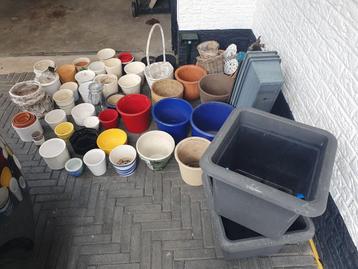Bloempotten uitzoeken alle soorten en maten beschikbaar voor biedingen