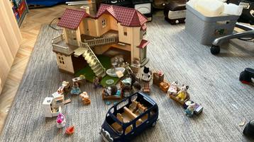 Complete Sylvanian Families set beschikbaar voor biedingen