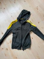 3-delige trainingspak, merk, shirt, trainingsbroek, vest, Ophalen of Verzenden, Zo goed als nieuw, Maat 48/50 (M)