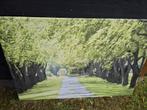 Tuin canvas doek buiten, Tuin en Terras, Tuinwanddecoratie, Ophalen of Verzenden, Zo goed als nieuw