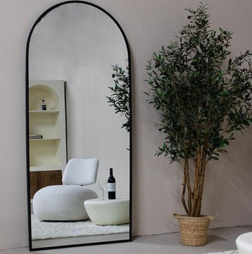 Passpiegel Nieuw!, Huis en Inrichting, Woonaccessoires | Spiegels, Nieuw, 75 tot 100 cm, 200 cm of meer, Overige vormen, Ophalen