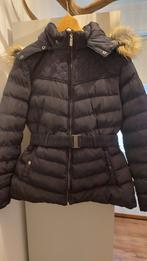 Cars winterjas maat L, zganw, Ophalen of Verzenden, Zo goed als nieuw, Blauw