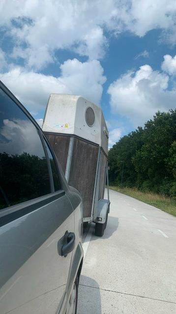 Paardentransport aangeboden beschikbaar voor biedingen