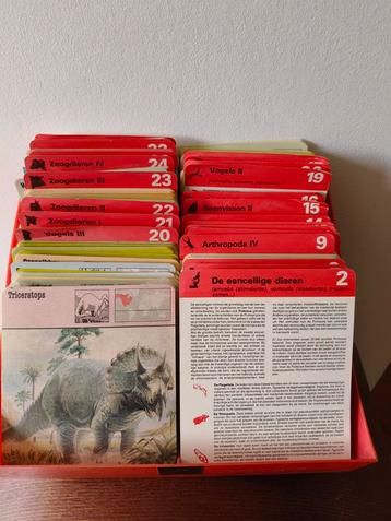 Vintage Educatieve verzameling  beschikbaar voor biedingen