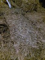 Kleine stro balen, Dieren en Toebehoren, Dierenvoeding, Ophalen, Vee