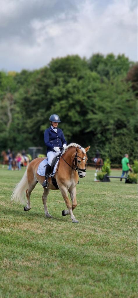 Instructrice aangeboden en bosritten., Dieren en Toebehoren, Paarden en Pony's | Overige Paardenspullen, Ophalen of Verzenden