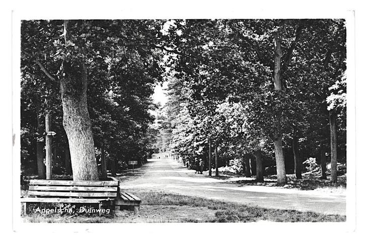 975097 Appelscha Friesland Duinweg . Postzegel gedeeltelijk, Verzamelen, Ansichtkaarten | Nederland, Gelopen, Friesland, 1940 tot 1960