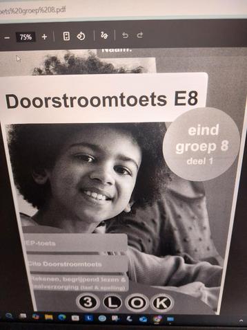 Doorstroomtoets E8 oefentoets beschikbaar voor biedingen