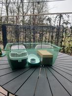 Cavia of rattenhok, Dieren en Toebehoren, Ophalen, Kooi, Cavia, Minder dan 60 cm