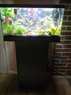 60 liter aquarium, incl. meubel, Dieren en Toebehoren, Ophalen, Zo goed als nieuw, Leeg aquarium