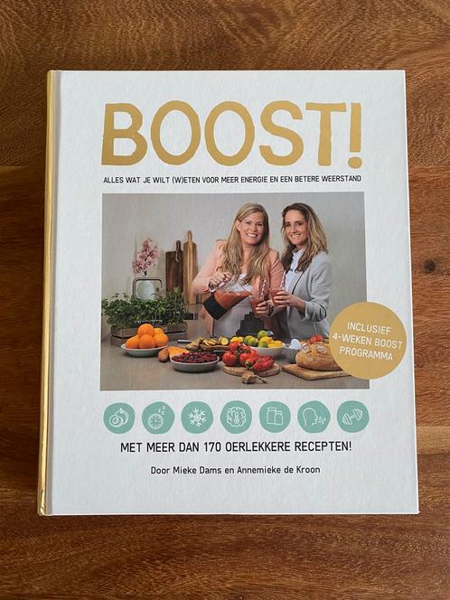 Boost! | Mieke Dams en Annemieke de Kroon, Boeken, Gezondheid, Dieet en Voeding, Zo goed als nieuw, Dieet en Voeding, Ophalen of Verzenden
