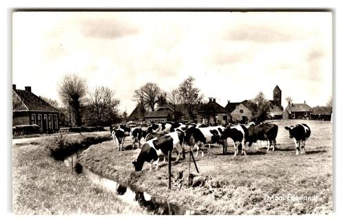 Friesland, Mooi Friesland, Verzamelen, Ansichtkaarten | Nederland, Gelopen, Friesland, 1960 tot 1980, Verzenden
