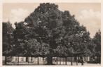 tilburg  lindeboom  heuvel  in 1941, Ophalen of Verzenden, 1940 tot 1960, Gelopen, Noord-Brabant