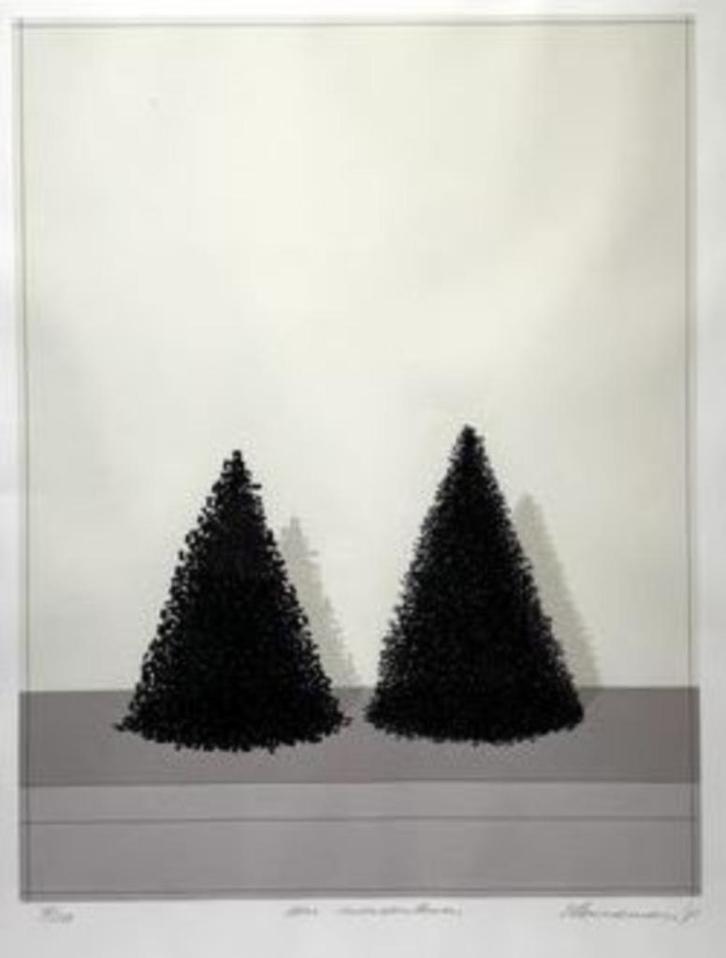 Johannes (Jeroen) Henneman(1942)Zeefdruk"Een Mensenleven"Ges, Antiek en Kunst, Kunst | Litho's en Zeefdrukken, Ophalen of Verzenden