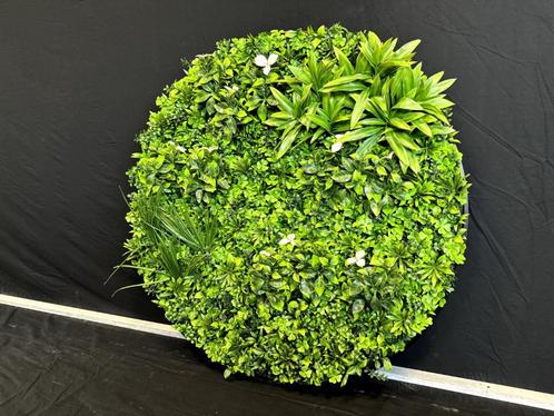 Kunsthaag rond, Huis en Inrichting, Woonaccessoires | Kunstplanten en Kunstbloemen, Nieuw, Binnen, Ophalen of Verzenden