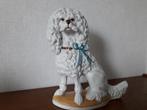 Porseleinen poedel, Verzamelen, Beelden en Beeldjes, Ophalen, Zo goed als nieuw, Dier