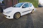Peugeot 206 GTI Circuit auto met kenteken !, Auto diversen, Raceauto's