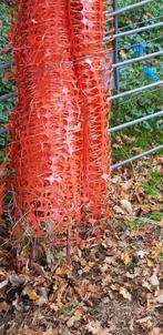 Raster voor schapen, Dieren en Toebehoren, Schapen, Geiten en Varkens, Meerdere dieren, Schaap, 0 tot 2 jaar