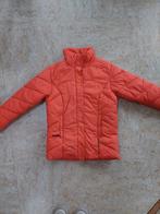 Mexx sport dames winterjas maat 36, Kleding | Dames, Mexx, Oranje, Ophalen of Verzenden, Zo goed als nieuw