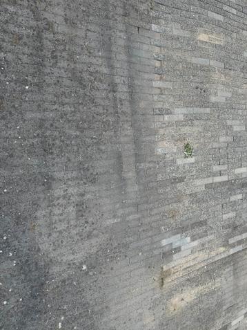 Beton waaltjes gratis af te halen 40m2 beschikbaar voor biedingen