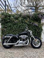 Harley Davidson Sportster Low XL1200, 1200 cc, Particulier, 2 cilinders, Chopper