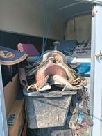 Trailer vol met paarden en pony spullen te koop, Dieren en Toebehoren, Ophalen, Zo goed als nieuw, Hout, 1½-paards trailer