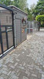 Vandaag geopend tot 20.00 uur, Meerdere dieren, Tropenvogel
