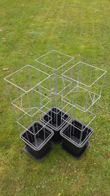 plantenrekken klimplantenrekken tuinrekken plantensteunen beschikbaar voor biedingen