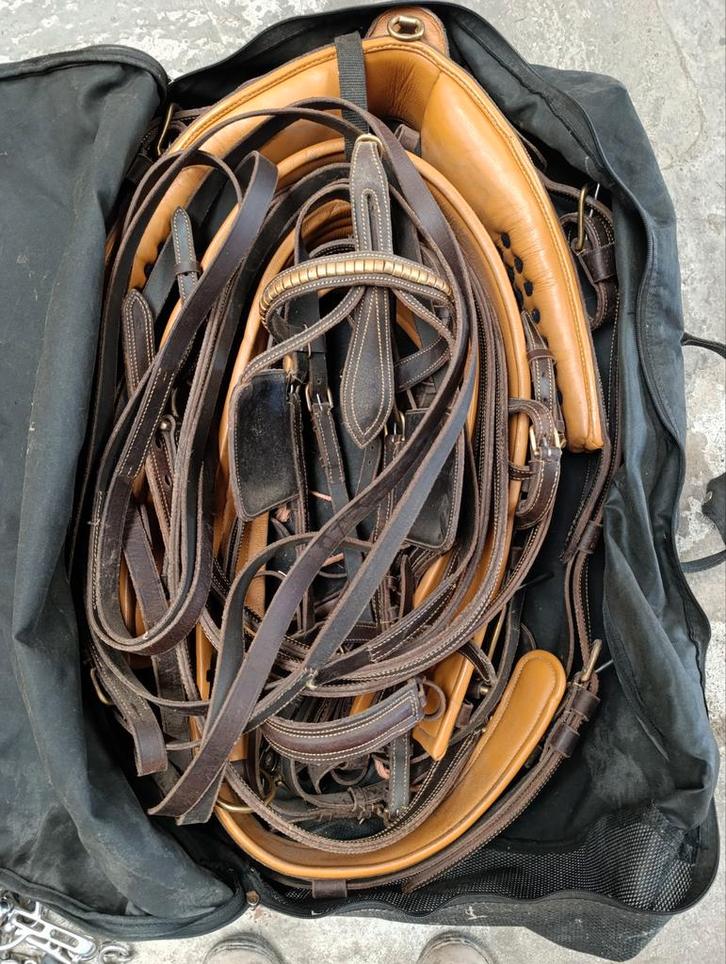 Leren mentuig bruin cognac maat Full, Dieren en Toebehoren, Paarden en Pony's | Hoofdstellen en Tuigage, Zo goed als nieuw, Overige soorten