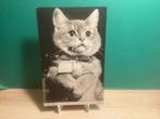 Kat als Prijswinnaar.   042, Verzamelen, Ophalen of Verzenden, 1940 tot 1960, Gelopen