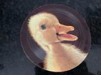 Singeltje met eend - 2cv gerelateerd?, Ophalen of Verzenden, Gebruikt, 10 inch