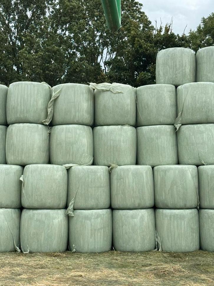 Voordroog paarden hooi in folie kuilgras hooi ronde balen, Dieren en Toebehoren, Dierenvoeding, Ophalen of Verzenden