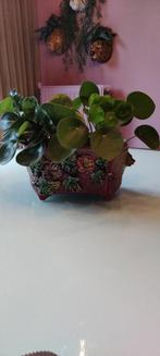 Oude Franse bloempot opgelegde bloemen, Tuin en Terras, Ophalen, Rond, Binnen, Zo goed als nieuw