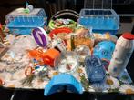 2 nette kooien en heel veel accesoires / netjes en schoon!, Dieren en Toebehoren, Kooi, Gebruikt, Minder dan 75 cm, Hamster