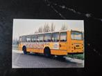 1 foto Westnederland bus 8443 10x15 cm, Verzamelen, Ophalen of Verzenden, Zo goed als nieuw, Bus of Metro, Kaart of Prent