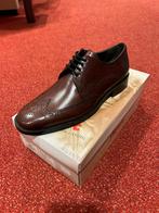 Sioux bordeaux veterschoen maat 40,5, Overige kleuren, Nieuw, Ophalen of Verzenden, Sioux