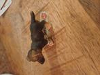 Schleich herder puppy nieuwe met vaantje, Verzamelen, Dierenverzamelingen, Ophalen of Verzenden, Zo goed als nieuw, Hond of Kat