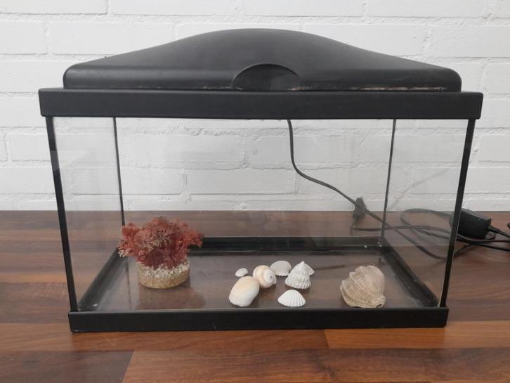 Aquarium Starter kit 25L met verlichting, pompje, Dieren en Toebehoren, Vissen | Aquaria en Toebehoren, Gebruikt, Leeg aquarium